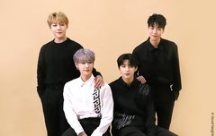 니스들, 이 인터뷰 꼭 봐