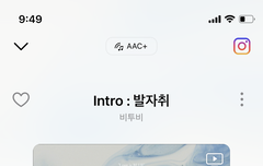 ㅈㅣ니 스밍