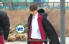 고잉팀 승관이 버피할때 자막 감동이다...