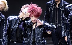 처음 보는 사진!