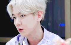 220214 백현 큥튜브 변치 않는 사랑｜밸런타인데이 꽃꽂이.gif