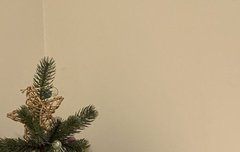 얘들아 이거 누가 올린 거야?