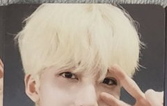 캐럿들아 이거 시세 얼마정도 해??