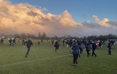 오랜만에 숨은 아르망 찾기ㅋㅋㅋ