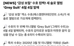 앨범 기사 삐삐