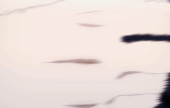 스포?인가 난 주술회전0에 미치고 말았음.