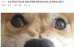 레벨 연차가 있는데.. 이제 성적에 연연하기 보다는