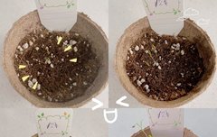 스물일곱이 이렇게 귀여워도 됨?