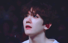 백현이 짹 삐삐