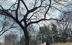 아이콘 'ㄱㅈㅎ'