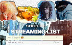 스밍 주의사항 / 스밍 목록!