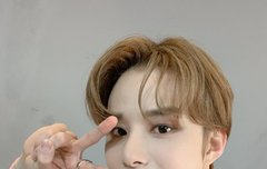 우리 강아지도 벚꽃구경 했을까??