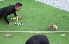 내가 정우 볼때 심정