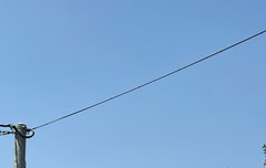 스케줄 넘 궁금하다... 뭐든 와라