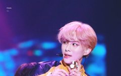 벚꽃 정우 사진 ~