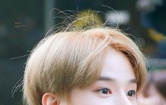 정우 정우 정우