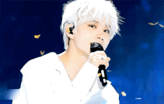 여기 되게 활발하고 따뜻하네