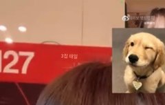 이거 자막 쭉 봐봐 킹랑스러움ㅠㅠ