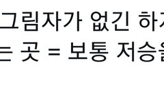 얘들아 나 소름 돋았어