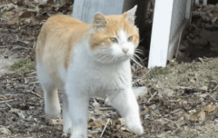 물어볼게있는데말야,