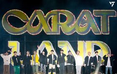 엥 이거 호시 어디감