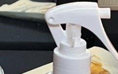 진짜 강아지인거임….??