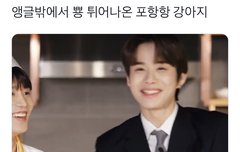 여기 뿅 튀어나오면서 웃는거