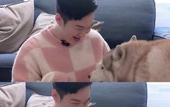 이부분 화면에서 다우니향 남..