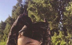 아이린 이 포카 요즘 시세 얼마정도해?