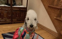 사진첩 대방출 페니