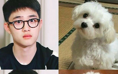 여기 진짜 죽엇냐?