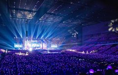 이번에는 나의 시야를 포기할테니