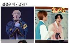 아기멍게 아기해파리