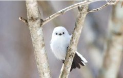 진짜 내 짝녀 너무 귀여워