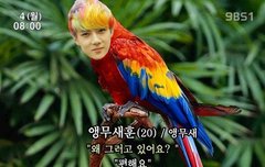 좋아하는 가사 쓰고 가자