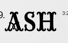 누가 이거보고 애.슐리래