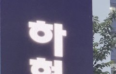 인천대 미모 레전드