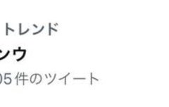 정우 일본 실트에 올랐엉!!