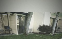 12시간 지난 면토리 삐삐