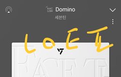 호싱이 픽.시드 뭐임