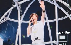 우리 강아지 돔투어 수고했어요~!!