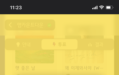 아니 엠.카 투표했는데