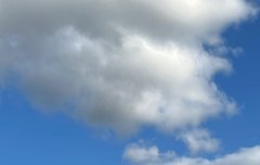 애들 뭐 찍으러 간 걸까..?