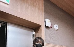 펜밤라 달립니다