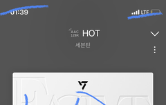 ㅅㄷ) 세봉이 콘서트 처음 가보는데