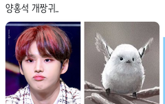 홍석이 별명 중에 궁금한거 있어