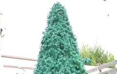 이렇게 잘생겻엇나…