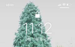 이 사진을 이제 봤네