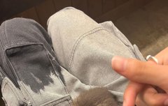 위버스에 진짜 아기고양이