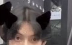 광냥이에 이어 민냥이